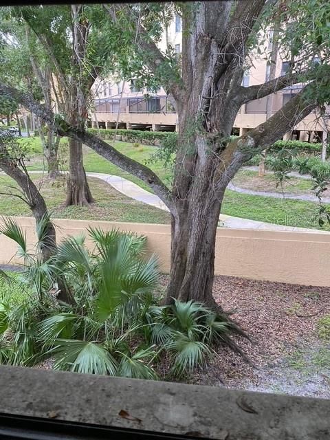 出租: $1,670 (1 贝兹, 1 浴室, 624 平方英尺)