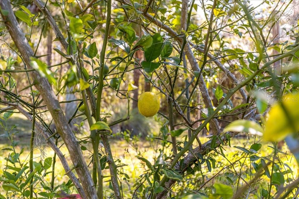 En Venta: $420,000 (3 camas, 2 baños, 2117 Pies cuadrados)