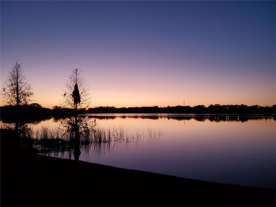 На продажу: $919,000 (5 спален, 3 ванн, 3839 Квадратных фут)