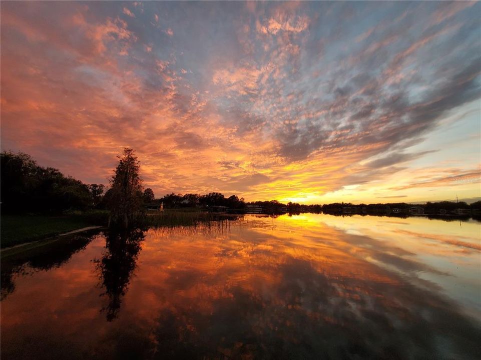 На продажу: $919,000 (5 спален, 3 ванн, 3839 Квадратных фут)