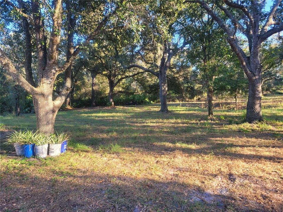 En Venta: $675,000 (3 camas, 2 baños, 1774 Pies cuadrados)