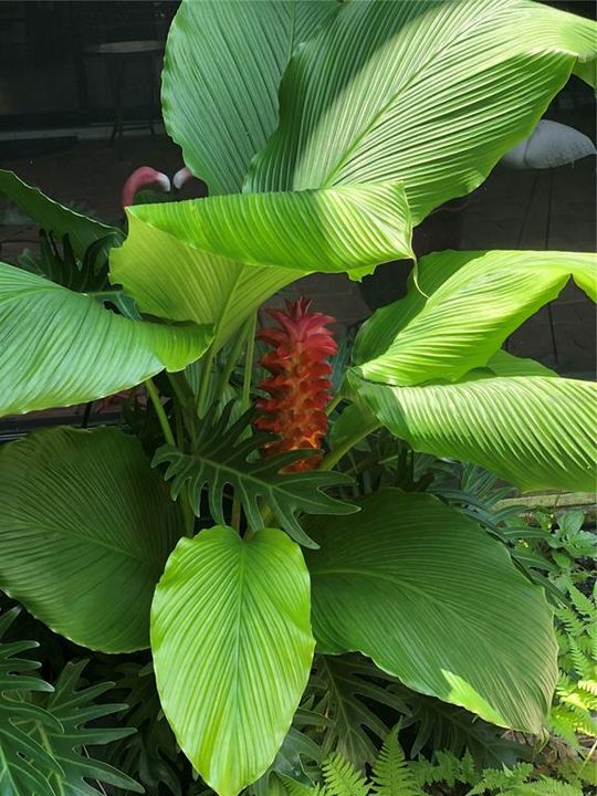 For Sale: $639,000 (4 beds, 3 baths, 2749 Square Feet)