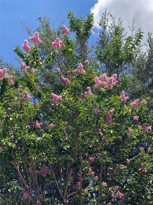 For Sale: $639,000 (4 beds, 3 baths, 2749 Square Feet)