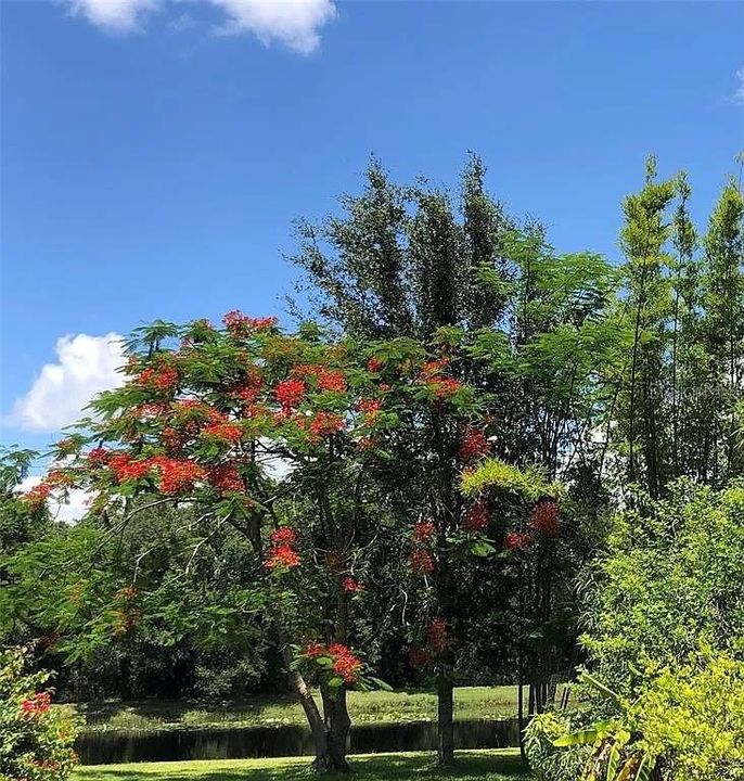 For Sale: $639,000 (4 beds, 3 baths, 2749 Square Feet)