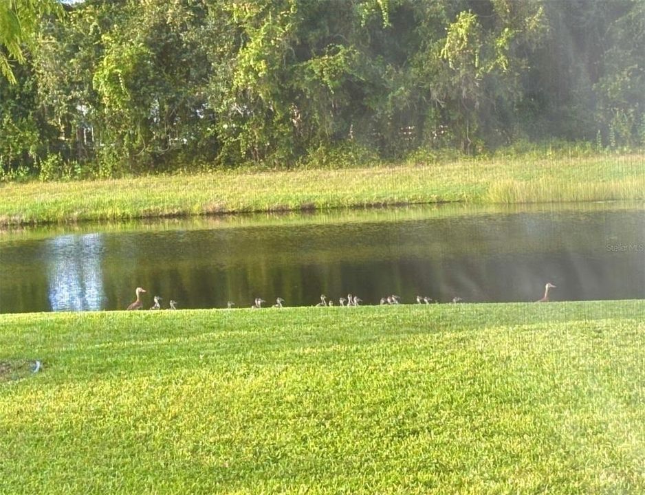 For Sale: $639,000 (4 beds, 3 baths, 2749 Square Feet)