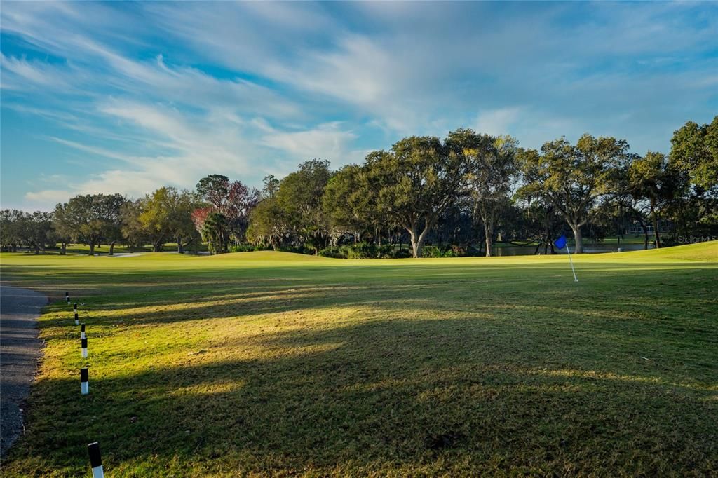 合同活跃: $189,900 (1 贝兹, 1 浴室, 1033 平方英尺)