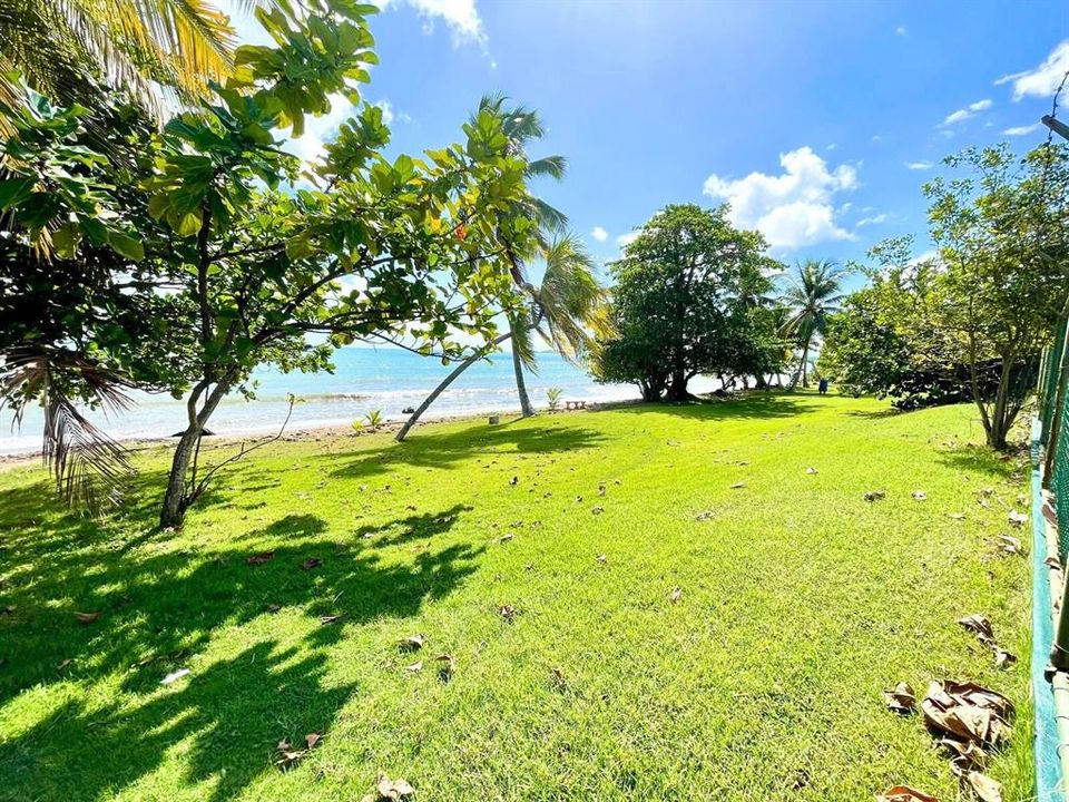 待售: $325,000 (3 贝兹, 2 浴室, 3081 平方英尺)