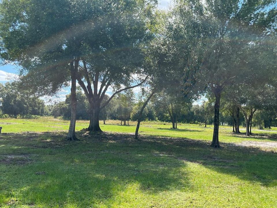 For Sale: $140,000 (1.25 acres)