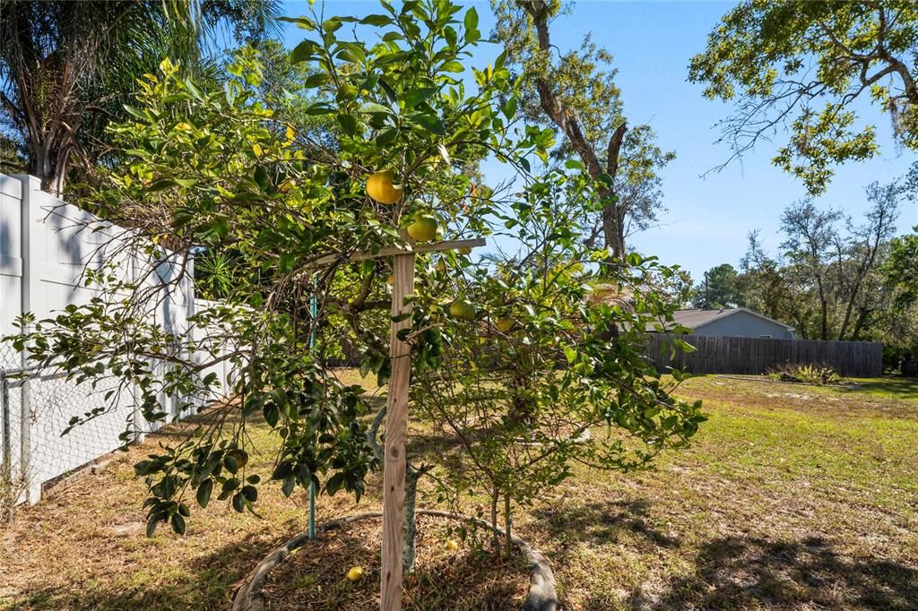 待售: $299,900 (3 贝兹, 2 浴室, 1114 平方英尺)