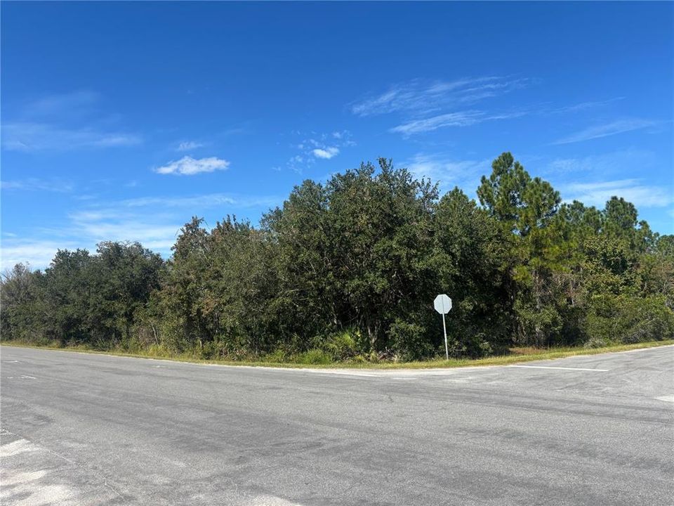 For Sale: $155,000 (1.13 acres)