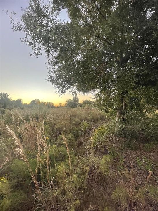 待售: $70,000 (2.50 acres)