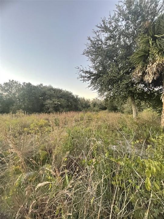 待售: $70,000 (2.50 acres)