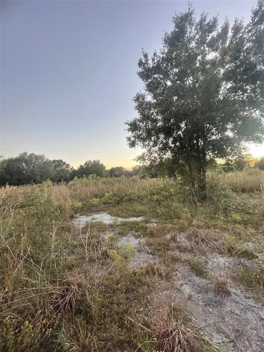 待售: $70,000 (2.50 acres)