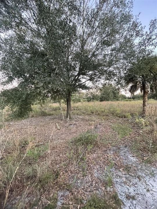 待售: $70,000 (2.50 acres)