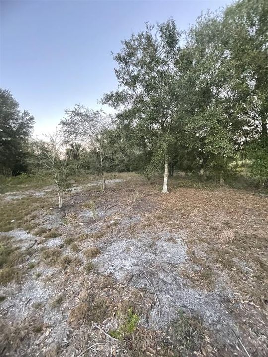 待售: $70,000 (2.50 acres)