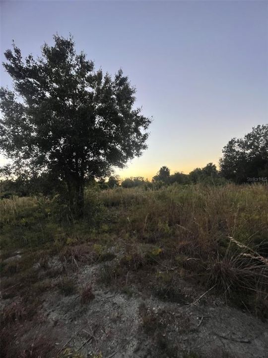 待售: $70,000 (2.50 acres)