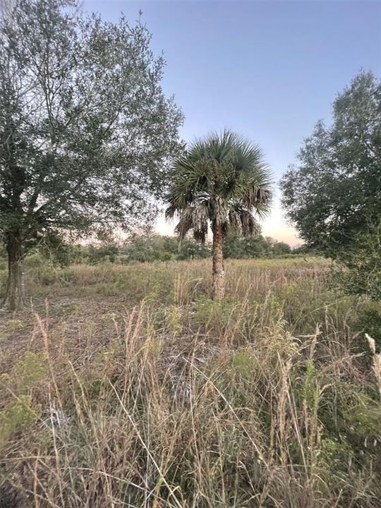 待售: $70,000 (2.50 acres)