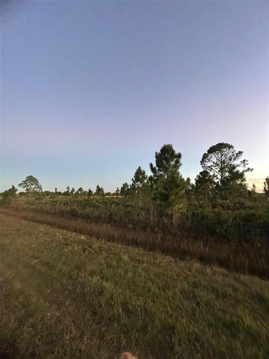 En Venta: $30,000 (1.25 acres)