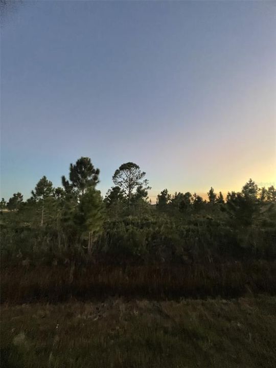 En Venta: $30,000 (1.25 acres)