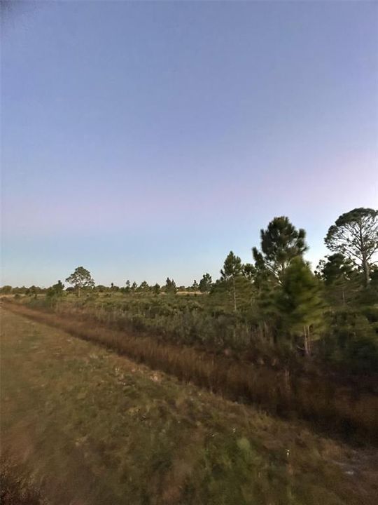 En Venta: $30,000 (1.25 acres)