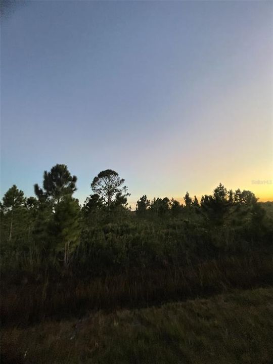 En Venta: $30,000 (1.25 acres)