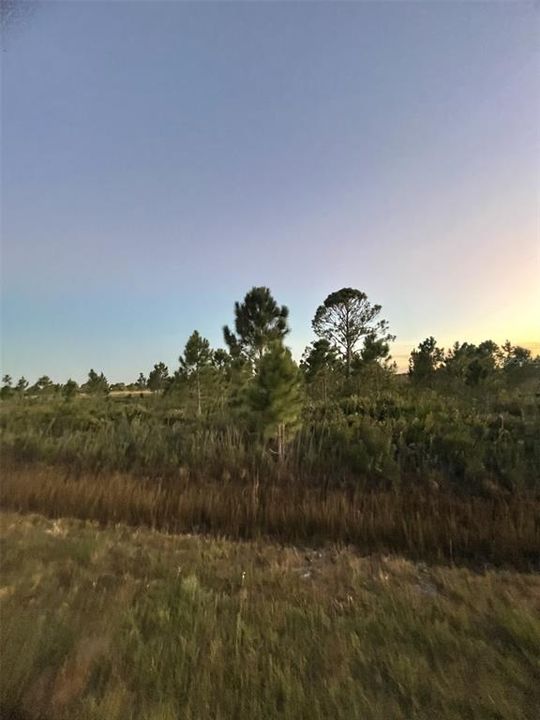 En Venta: $30,000 (1.25 acres)