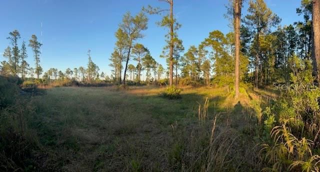 待售: $250,000 (6.00 acres)