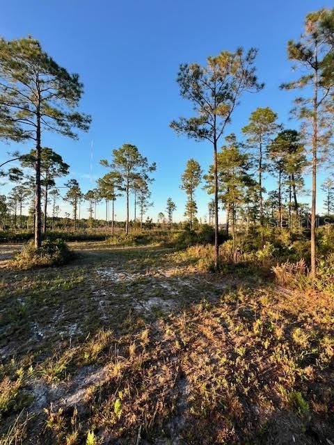 待售: $250,000 (6.00 acres)