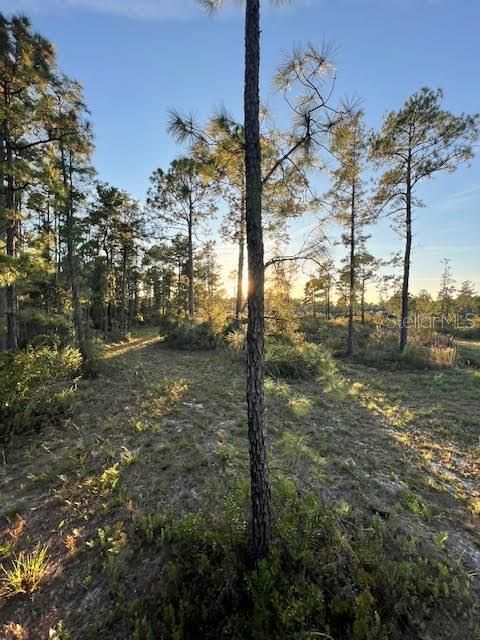 待售: $250,000 (6.00 acres)