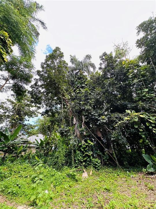 На продажу: $299,000 (0.76 acres)