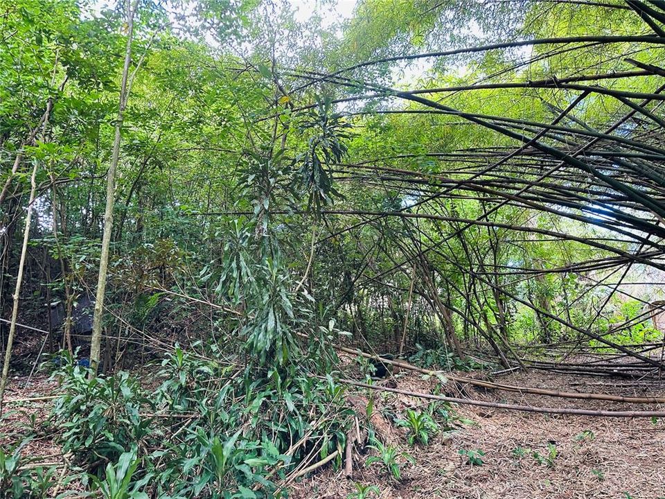 На продажу: $299,000 (0.76 acres)