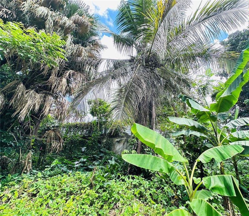 На продажу: $299,000 (0.76 acres)