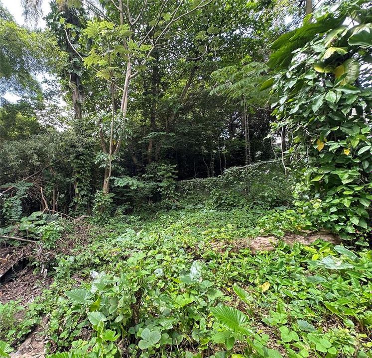 На продажу: $299,000 (0.76 acres)