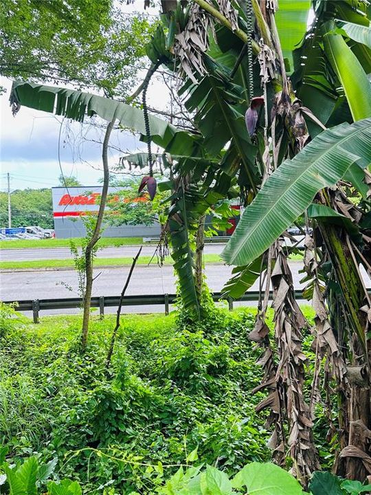 На продажу: $299,000 (0.76 acres)