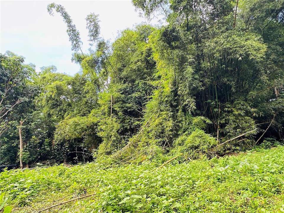 На продажу: $299,000 (0.76 acres)