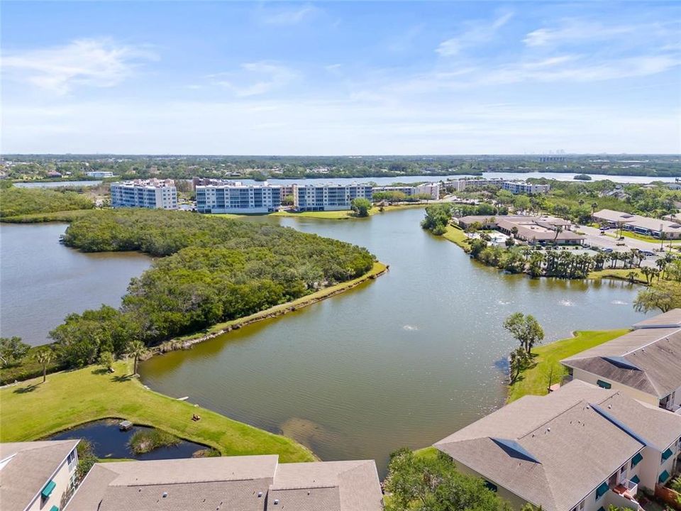 出租: $1,800 (2 贝兹, 2 浴室, 1010 平方英尺)