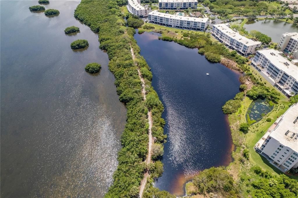 出租: $1,800 (2 贝兹, 2 浴室, 1010 平方英尺)