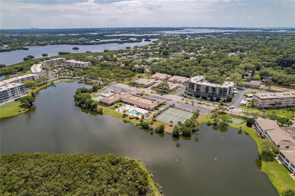 出租: $1,800 (2 贝兹, 2 浴室, 1010 平方英尺)