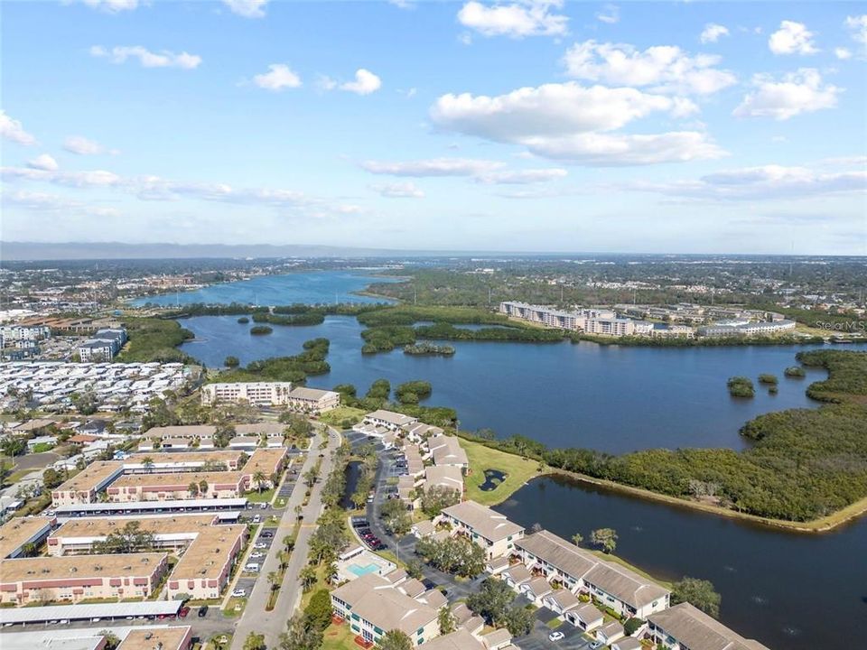 出租: $1,800 (2 贝兹, 2 浴室, 1010 平方英尺)