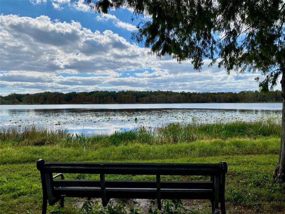 Под контрактом: $1,995 (3 спален, 2 ванн, 1260 Квадратных фут)