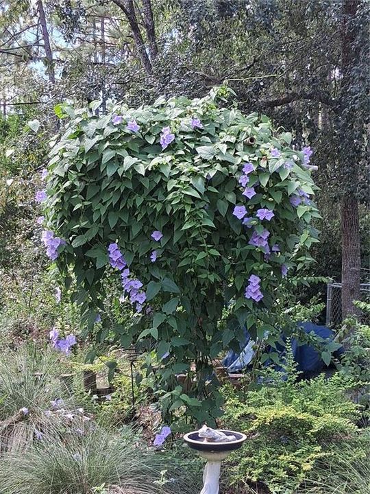 待售: $364,900 (2 贝兹, 2 浴室, 1342 平方英尺)