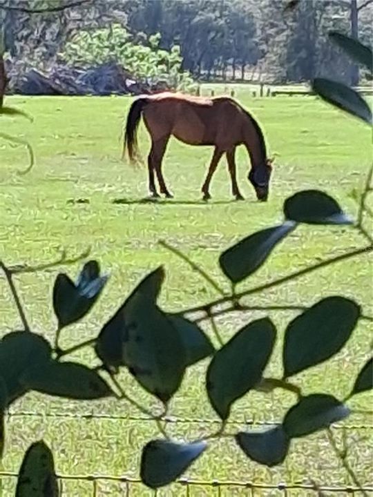 待售: $364,900 (2 贝兹, 2 浴室, 1342 平方英尺)