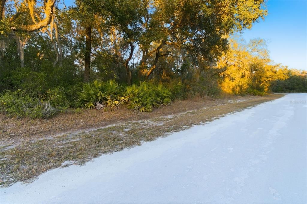 На продажу: $25,000 (0.46 acres)