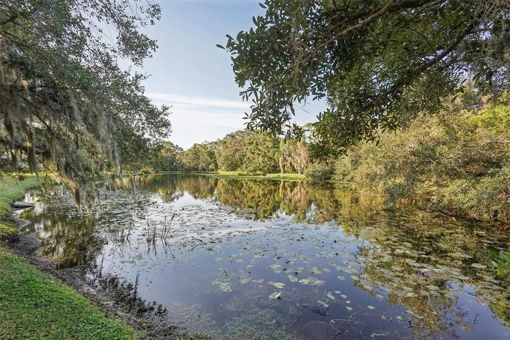 出租: $3,190 (4 贝兹, 3 浴室, 2120 平方英尺)