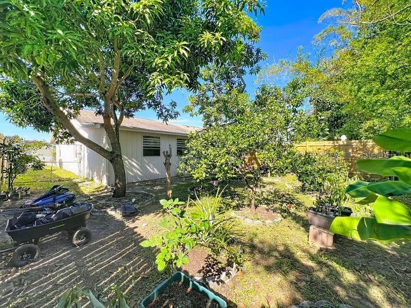 Active With Contract: $235,000 (2 beds, 1 baths, 952 Square Feet)