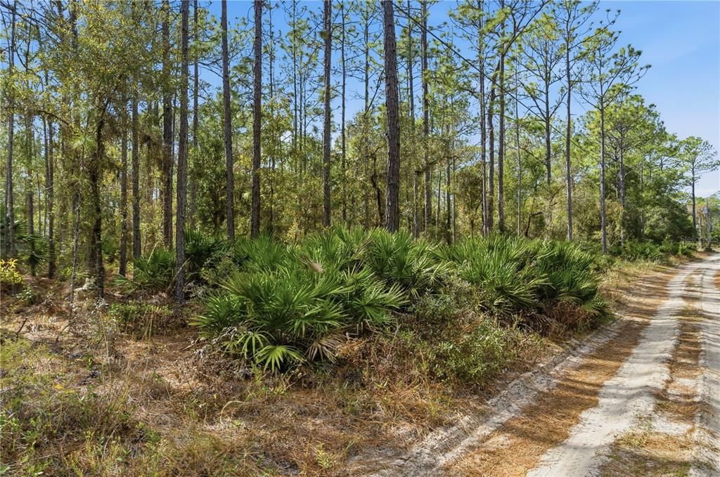 待售: $48,999 (2.07 acres)