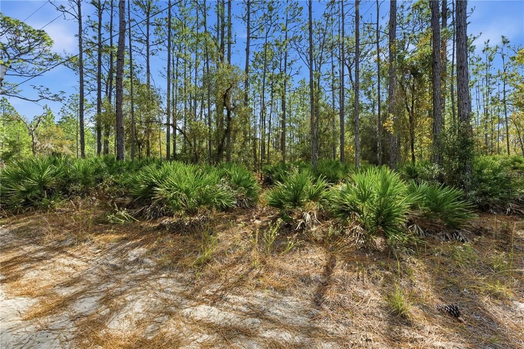 待售: $48,999 (2.07 acres)