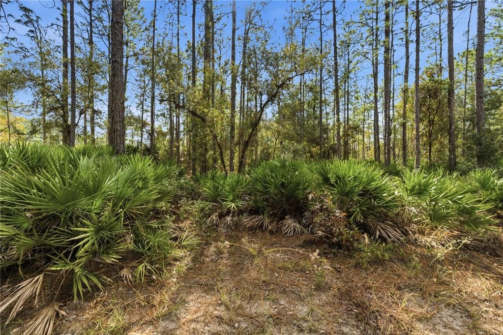 待售: $48,999 (2.07 acres)