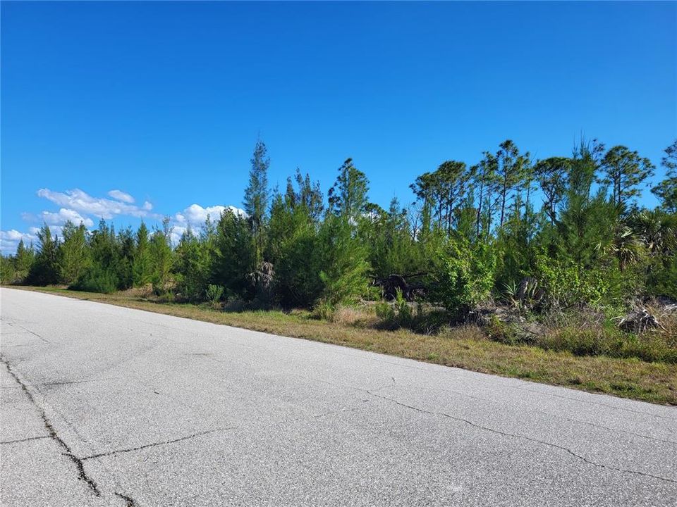 For Sale: $22,900 (0.23 acres)