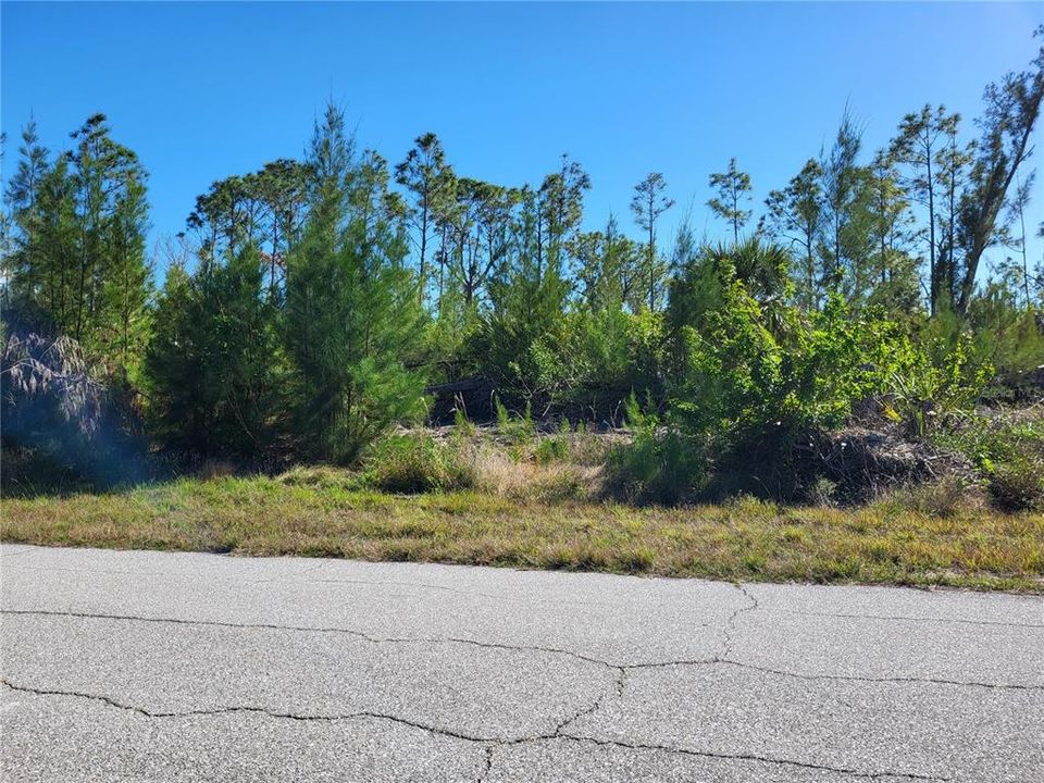 For Sale: $22,900 (0.23 acres)